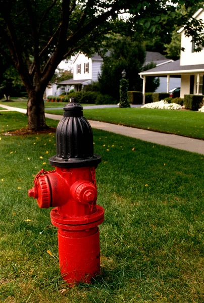 Hydrant Pożarowy Parku — Zdjęcie stockowe