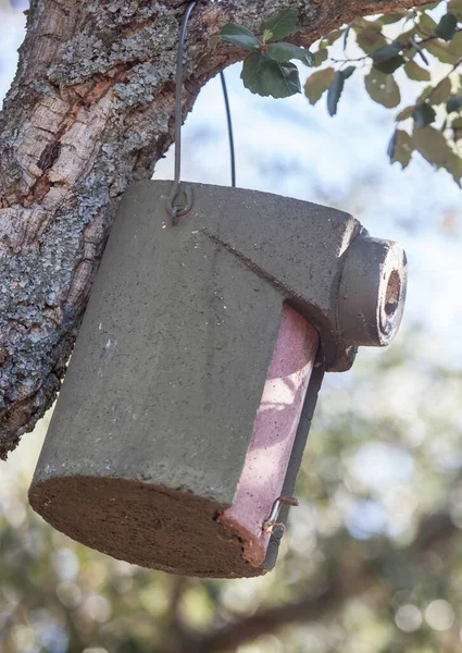 Alte Rostige Metalllaterne Einem Baum — Stockfoto