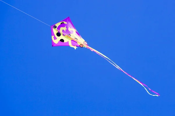 Low Angle View Kite Sky Miami Florida Verenigde Staten — Stockfoto