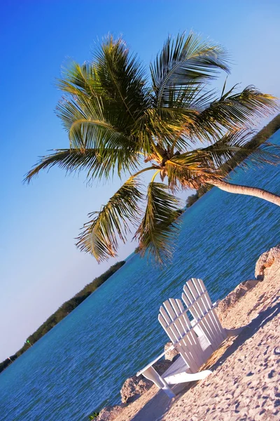 Leere Liegestühle Strand South Beach Miami Florida Usa — Stockfoto