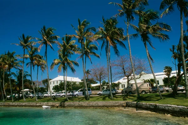 Coches Aparcados Cerca Las Palmeras Una Playa Bermudas — Foto de Stock