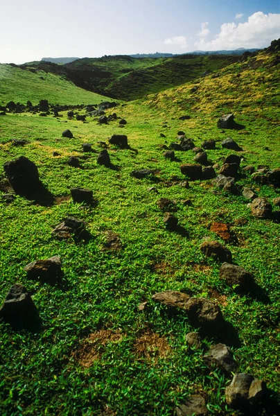 山の中の緑の草 — ストック写真