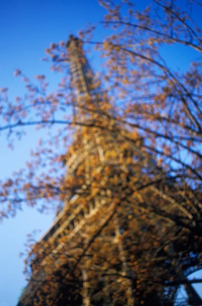 Takken Van Een Boom Voor Een Toren Eiffeltoren Parijs Frankrijk — Stockfoto
