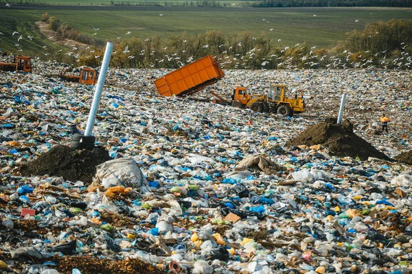 Praca Specjalnego Sprzętu Zakresie Pompowania Buldożery Sprzątają Śmieci Mewy Nad — Zdjęcie stockowe