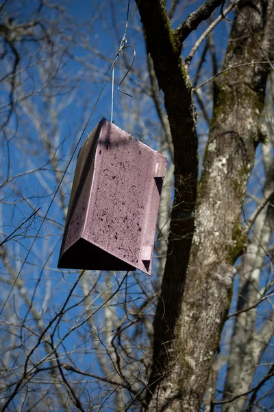 Ein Vogelfutterhäuschen Auf Einem Baum — Stockfoto