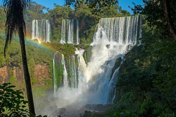 Chutes Sortant Forêt Tropicale Dans Parc National Iguazu Argentine — Photo