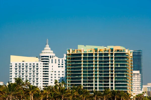 Palmeras Frente Edificios Varios Pisos Miami Florida — Foto de Stock