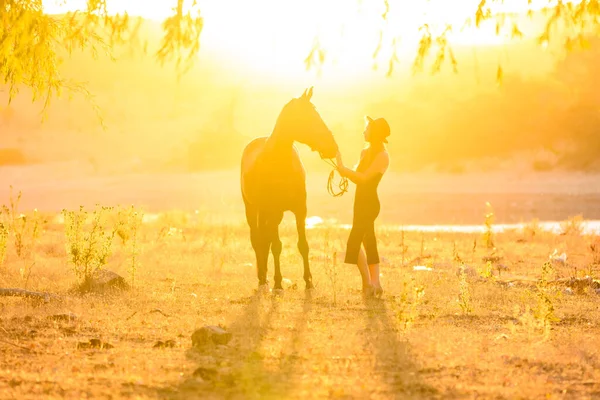 Mädchen Mit Pferd Licht Der Hintergrundbeleuchtung Des Sonnenuntergangs — Stockfoto