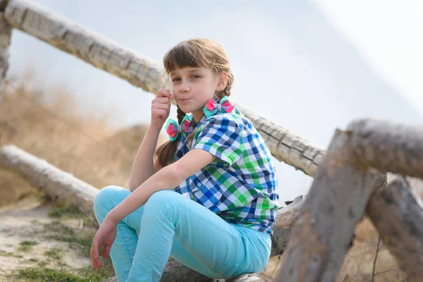 Una Ragazza Siede Recinto Fatto Blocco Legno Con Filo Erba — Foto Stock