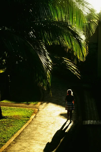 Vue Une Allée Verdoyante Hedonism Resort Jamaïque — Photo