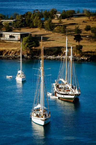 Ιστιοφόρα Ένα Λιμάνι Caneel Bay John Αμερικανικές Παρθένοι Νήσοι — Φωτογραφία Αρχείου