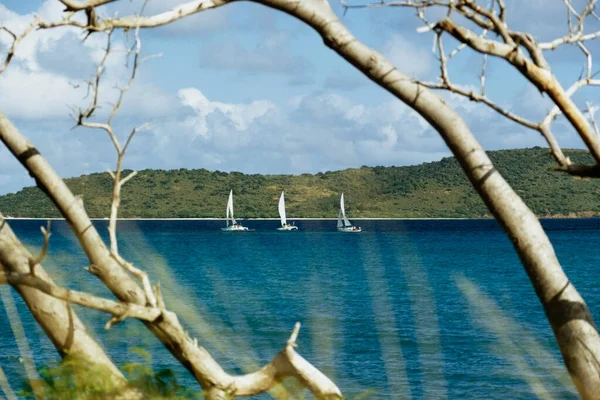 Voiliers Naviguant Large Des Côtes Sainte Croix Îles Vierges Américaines — Photo