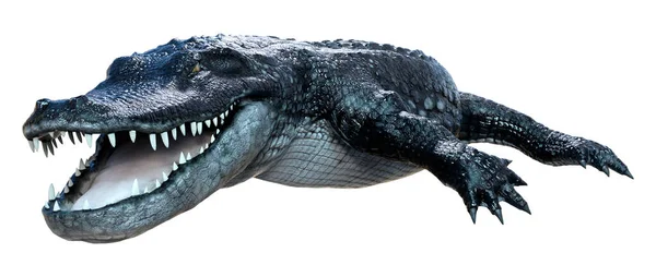 Återgivning Vit Krokodil — Stockfoto