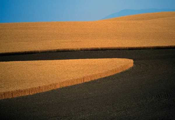 Prachtig Uitzicht Woestijn — Stockfoto