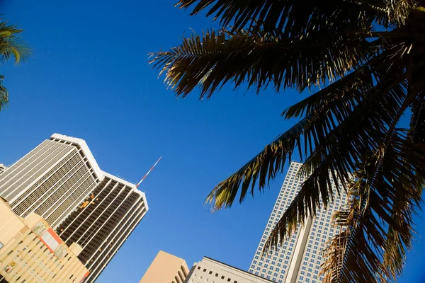 Low Angle View Van Gebouwen Een Stad Miami Florida Usa — Stockfoto