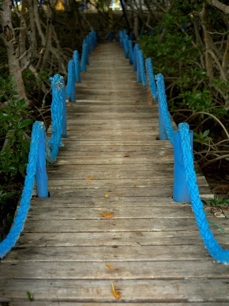 Ormanda Ahşap Köprü — Stok fotoğraf