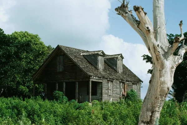 緑に囲まれた放棄された家の側面図 南エレウサワ バハマ — ストック写真