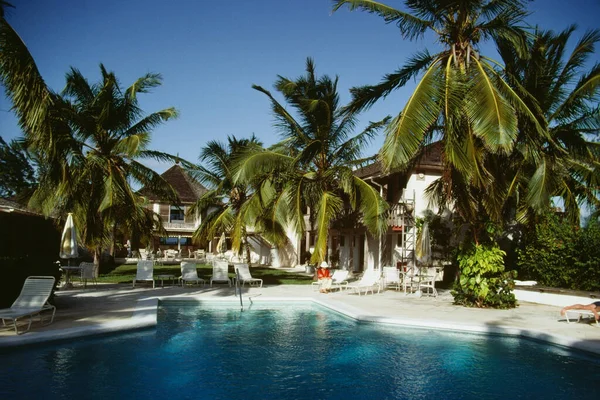 Palm Trees Clear Swimming Pool Sunny Day Eleuthera Bahamas — Stock Photo, Image