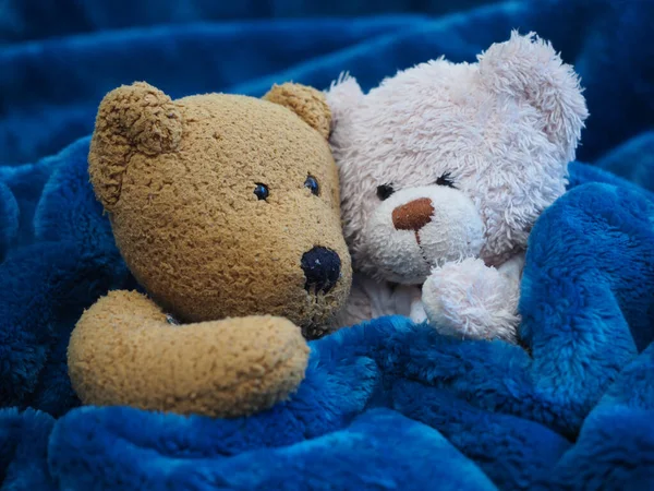 Teddy Bear Blue Pillow White Background — Stock Photo, Image