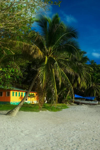 Bella Spiaggia Tropicale Con Palme Cielo Blu — Foto Stock