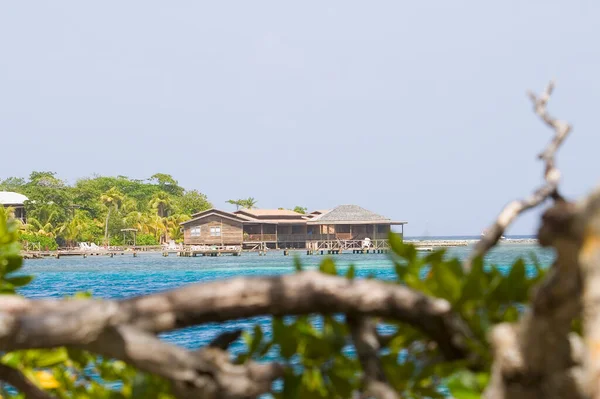 Hermosa Playa Tropical Con Palmeras Mar — Foto de Stock