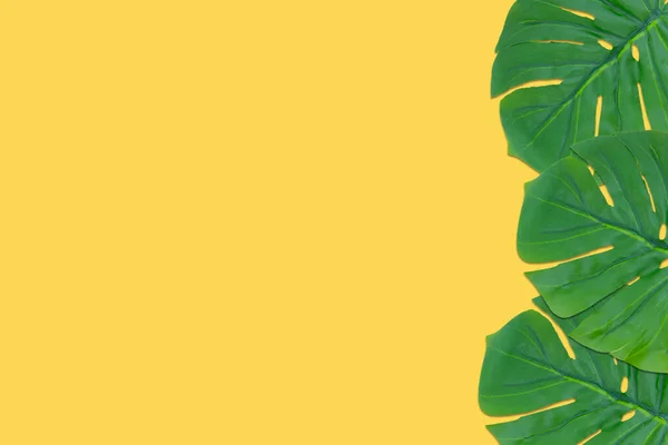 Tropische Grüne Blätter Auf Gelbem Hintergrund Sommerkonzept — Stockfoto