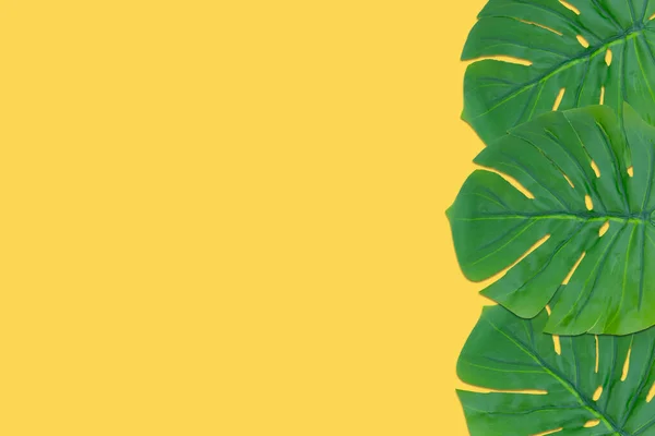 Зеленые Листья Монстры Желтом Фоне — стоковое фото