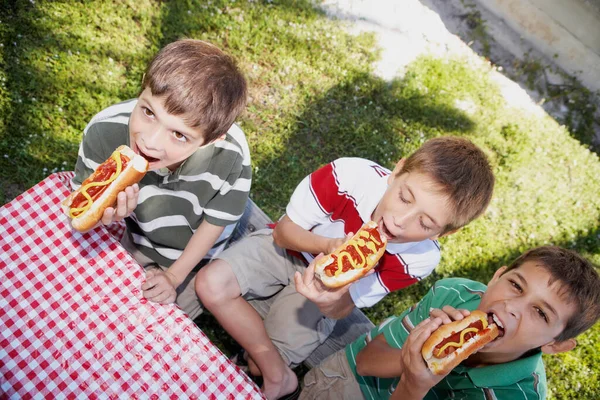 Dos Chicos Comiendo Pizza Divirtiéndose Picnic —  Fotos de Stock
