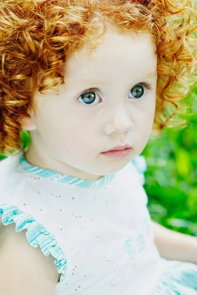 Portrait Cute Little Girl — Stock Photo, Image