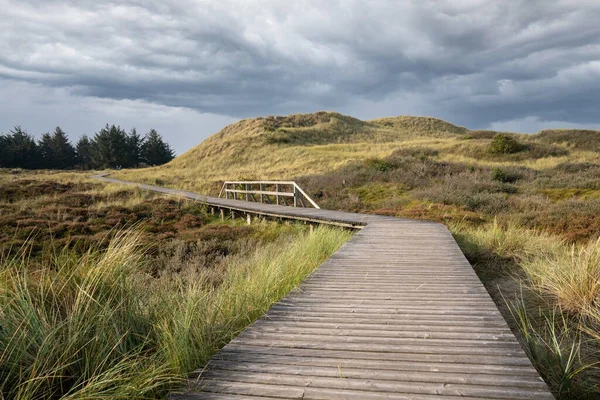 Trä Strandpromenaden Stranden — Stockfoto