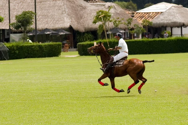 Montar Caballo Una Granja —  Fotos de Stock