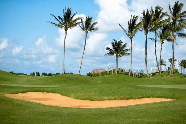 Terrain Golf Avec Herbe Verte Ciel Bleu — Photo