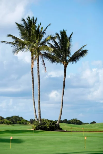 Поле Гольфа Флориде — стоковое фото