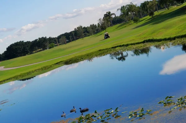 Campo Golf Campo — Foto de Stock