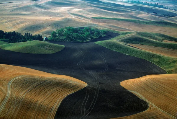 Vista Aérea Campos Verdes Colinas — Fotografia de Stock