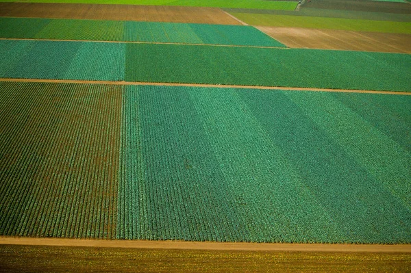 Luftaufnahme Der Grünen Felder Und Des Tals — Stockfoto