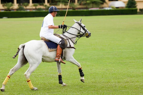 Man Playing Horse Sunny Day Stock Photo