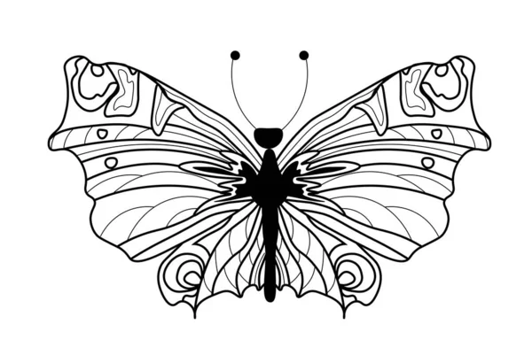 Black White Butterfly Wings — Stock Photo, Image