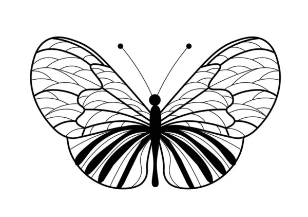 Butterfly Icon Black White Illustration — Stock Photo, Image