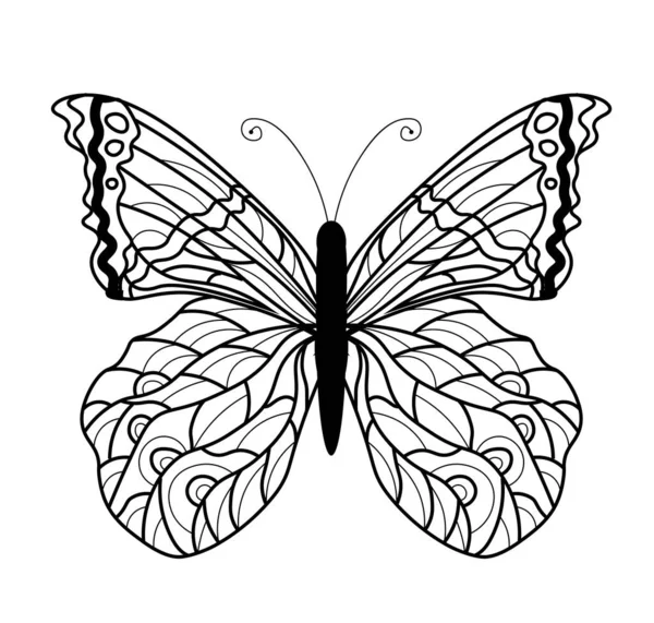 蝶のベクトルイラスト 白黒のドローイングは — ストック写真