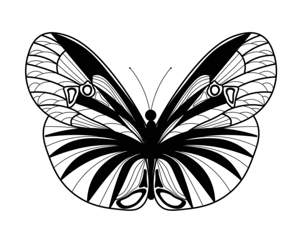 蝴蝶图标 黑白插图 — 图库照片