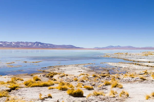 Uitzicht Dode Woestijn Het Nationale Park Namib Chili — Stockfoto