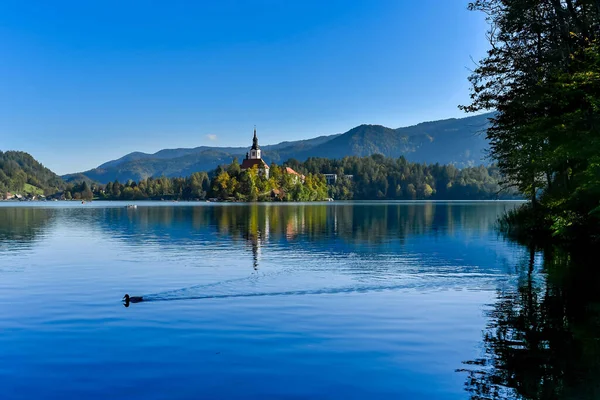 Lago Ensangrentado Slovenia — Foto de Stock