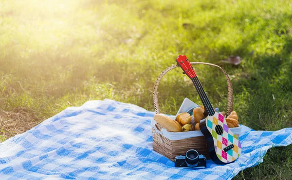 Piknik Wattled Kosár Kenyérrel Élelmiszer Gyümölcs Ukulele Retro Kamera Kék — Stock Fotó