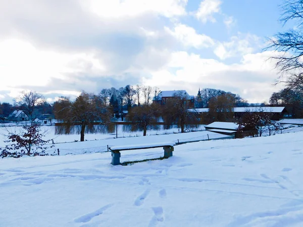 Paisagem Inverno Com Árvores Cobertas Neve — Fotografia de Stock