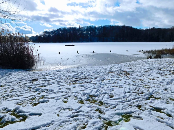 Bela Paisagem Inverno Com Neve Árvores — Fotografia de Stock