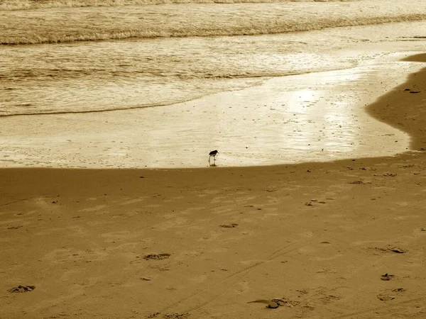 Mar Báltico Palanga Klaipeda Nida Curonian Spit Nascer Sol Pôr — Fotografia de Stock