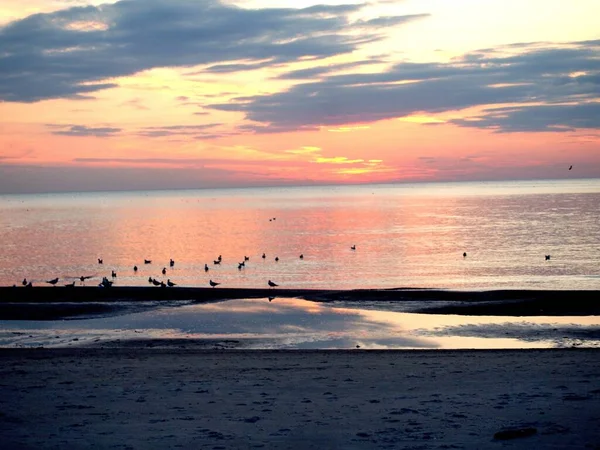 Балтийское Море Паланга Клайпеда Нида Куршская Коса Восход Солнца Закат — стоковое фото