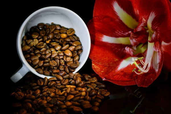 Coffee Beans Cup Tea Black Background — Stock Photo, Image