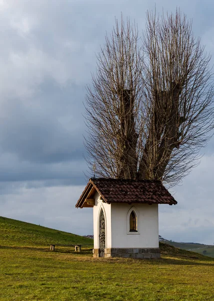 Prachtig Uitzicht Het Platteland — Stockfoto